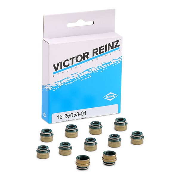 REINZ Set garnituri, ax supape număr articol: 12-26058-01 ieftin