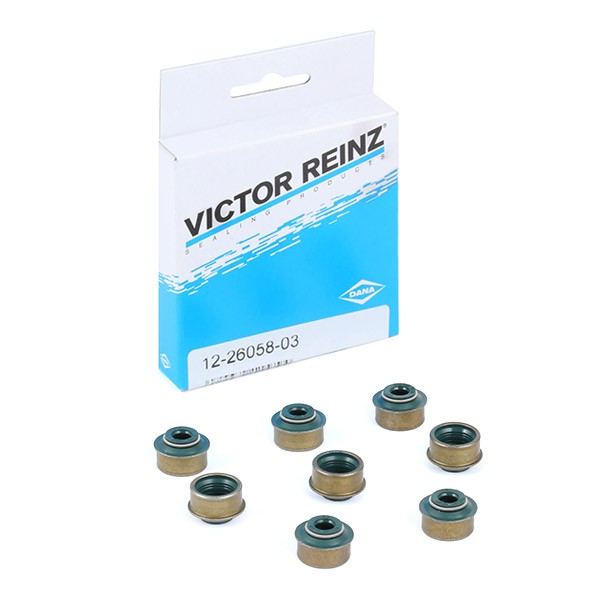 REINZ Set garnituri, ax supape număr articol: 12-26546-01 ieftin