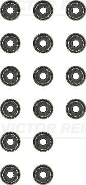 REINZ Set garnituri, ax supape număr articol: 12-34223-02 ieftin