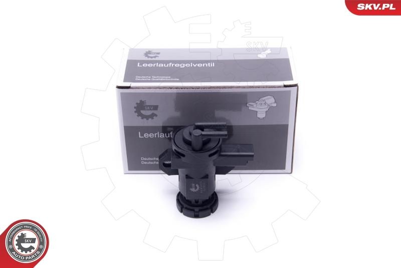 ESEN SKV Transductor de presión, turbocompresor Número de artículo: 14SKV916 a buen precio