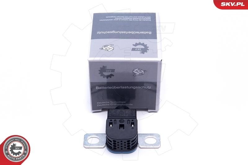 ESEN SKV Overvoltage Protector, alternator Article number: 96SKV317 cheaply