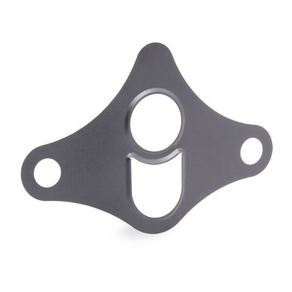 ELRING Seal, EGR valve Article number: 449.831 cheaply