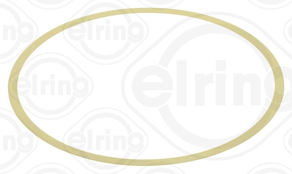 ELRING O žiedas, cilindro sraigtinė įvorė prekės numeris: 162.050 nebrangu