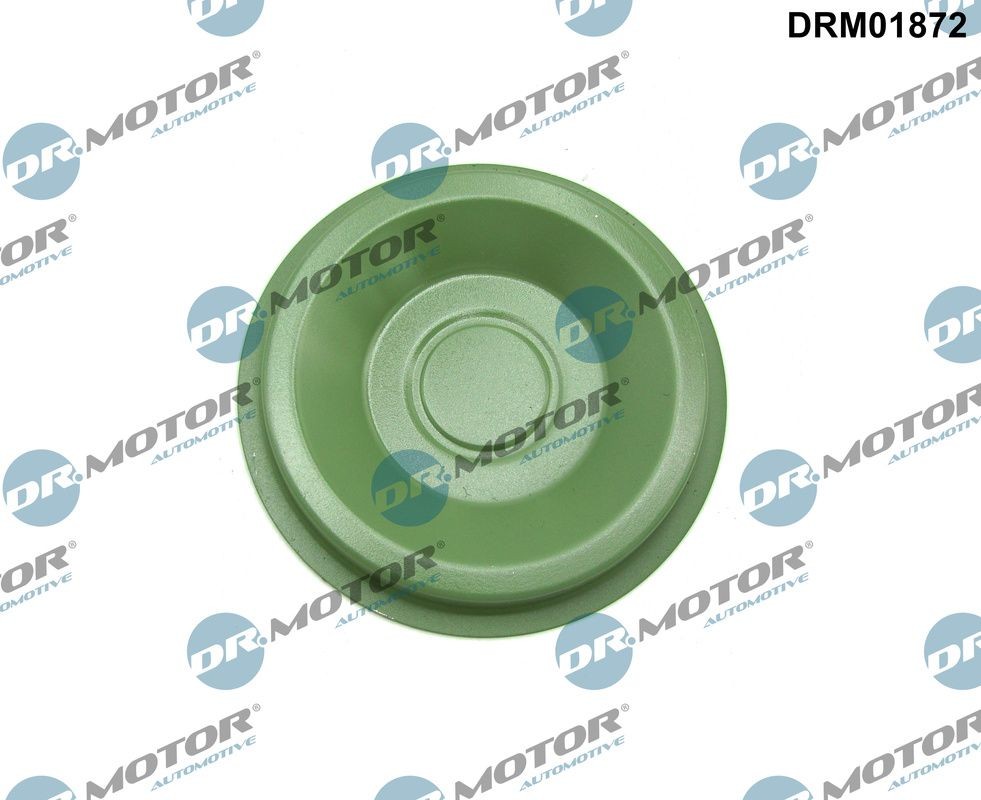 DR.MOTOR AUTOMOTIVE Flantsikate, käigukast Artikli number: DRM01872 soodsalt