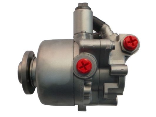 SPIDAN Power steering pump Article number: GKNY10054 cheaply