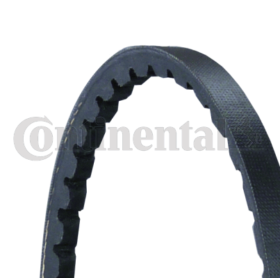 CONTITECH Juego de correas trapezoidales Número de artículo: 2XAVX10X1650 a buen precio