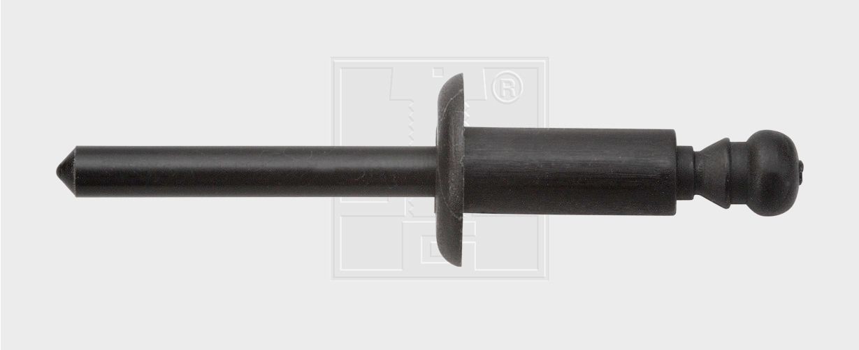 SWGAutomotive Ekspansjonsnagle artikkelnummer: 50031516 billig