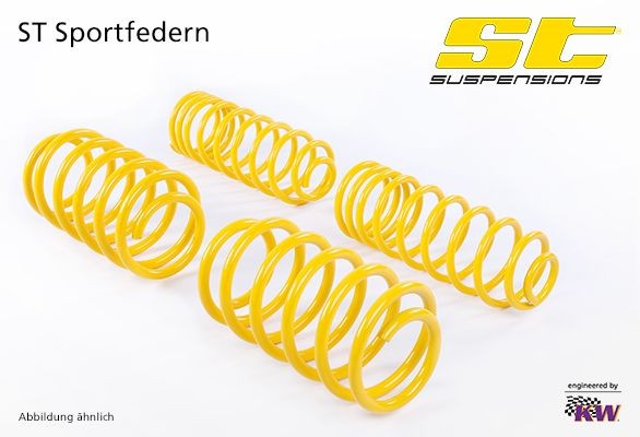 STsuspensions Set arcuri număr articol: 28220195 ieftin