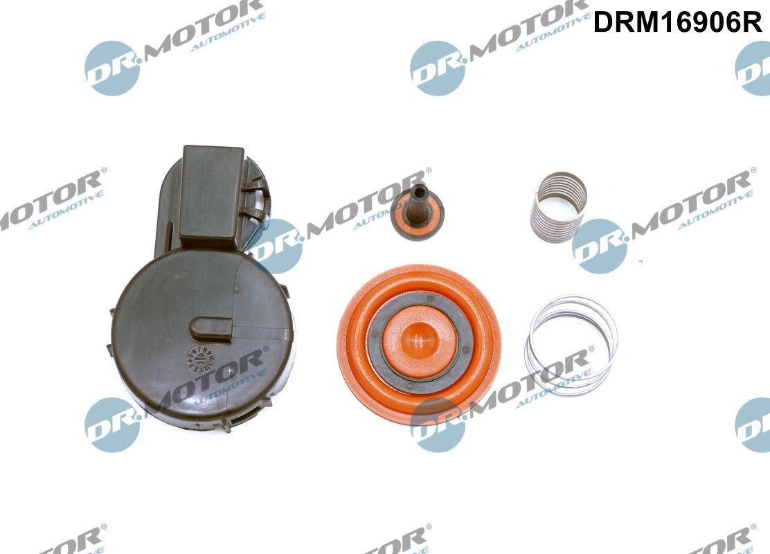 DR.MOTOR AUTOMOTIVE Мембрана, картерна вентилация артикулен номер: DRM16906R евтино