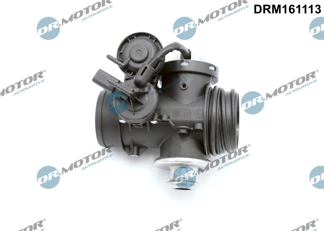 DR.MOTOR AUTOMOTIVE EGR valve Article number: DRM161113 cheaply