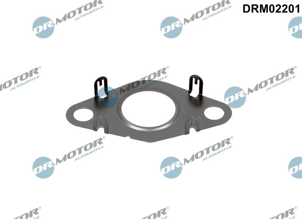 DR.MOTOR AUTOMOTIVE Gasket, EGR valve pipe Article number: DRM02201 cheaply