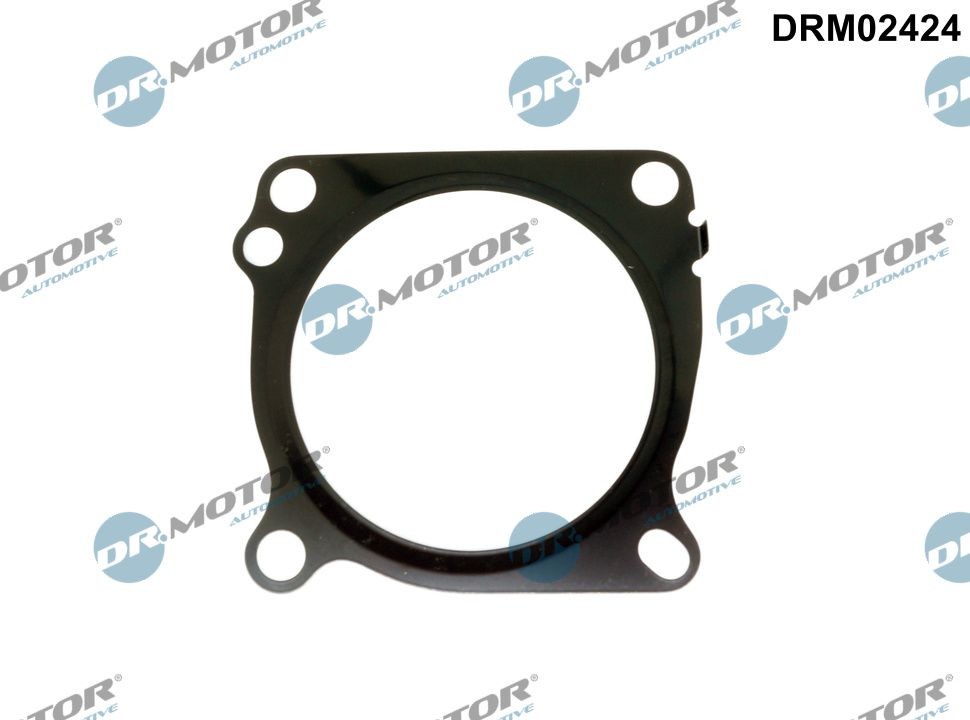 DR.MOTOR AUTOMOTIVE Dichtung, Drosselklappe Artikelnummer: DRM02424 günstig