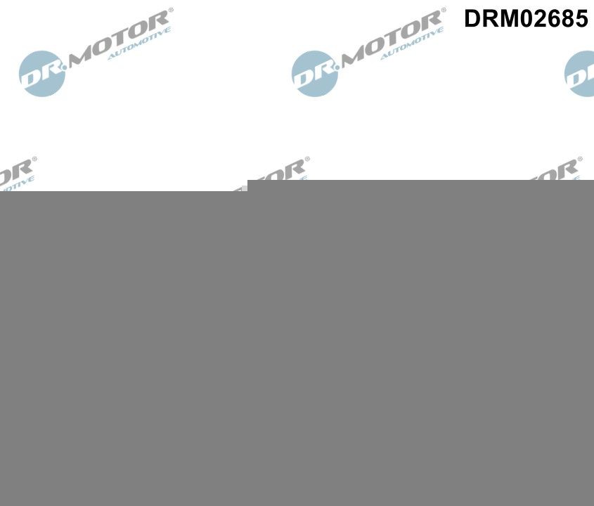 DR.MOTOR AUTOMOTIVE Уплътнителен пръстен, всмукателна тръба-корпус въздушен филт артикулен номер: DRM02685 евтино