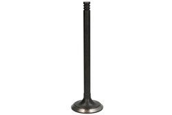 DNJ ENGINE COMPONENTS Exhaust valve Article number: EV1122 cheaply