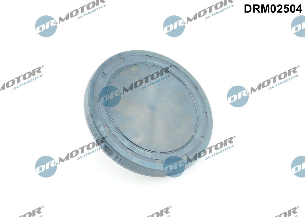 DR.MOTOR AUTOMOTIVE Capac distributie, bloc motor număr articol: DRM02504 ieftin