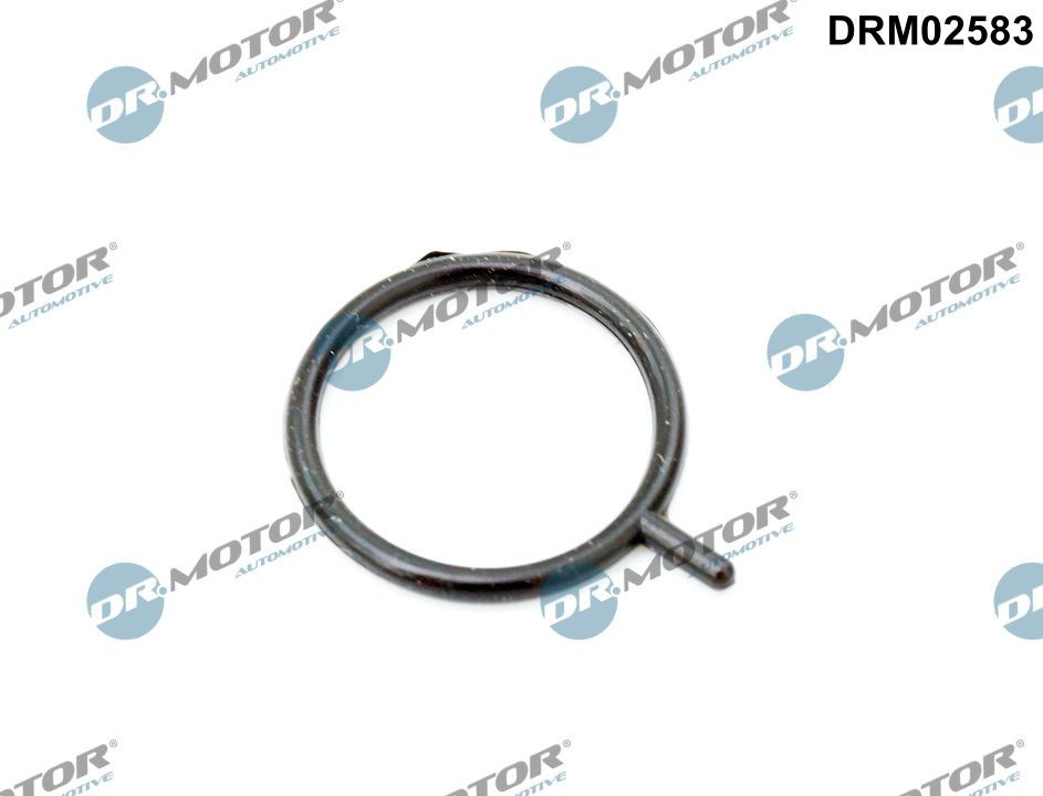 DR.MOTOR AUTOMOTIVE Dichtring, Motorölstandsensor Artikelnummer: DRM02583 günstig