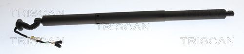 TRISCAN Tailgate strut Article number: 8710 24303 cheaply