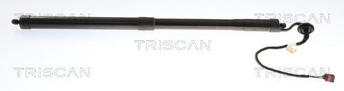 TRISCAN Tailgate strut Article number: 8710 27314 cheaply