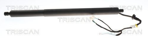 TRISCAN Kaasujousi, tavaratila tuotenumero: 8710 28301 edullisesti
