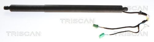 TRISCAN Kaasujousi, tavaratila tuotenumero: 8710 28302 edullisesti