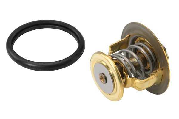 WAHLER Termostat, lichid racire număr articol: 410131.88D ieftin