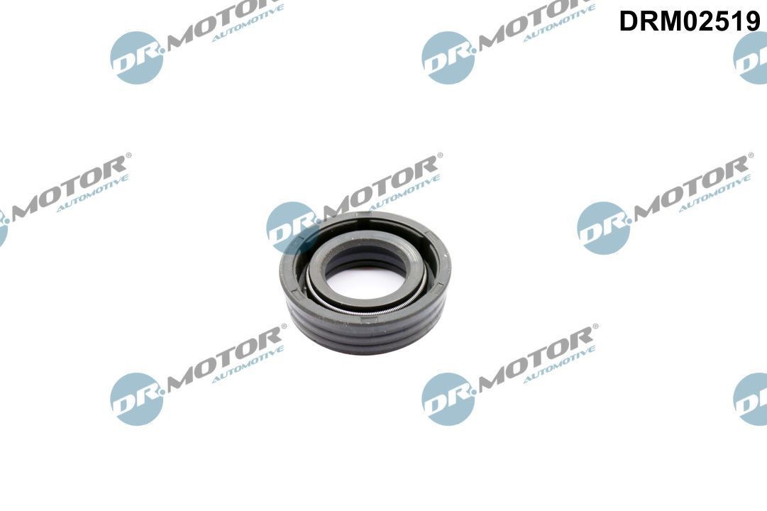 DR.MOTOR AUTOMOTIVE DRM02519 Seal, camshaft adjustment Convertible 1.6 Cooper S 184 PS Petrol 2015