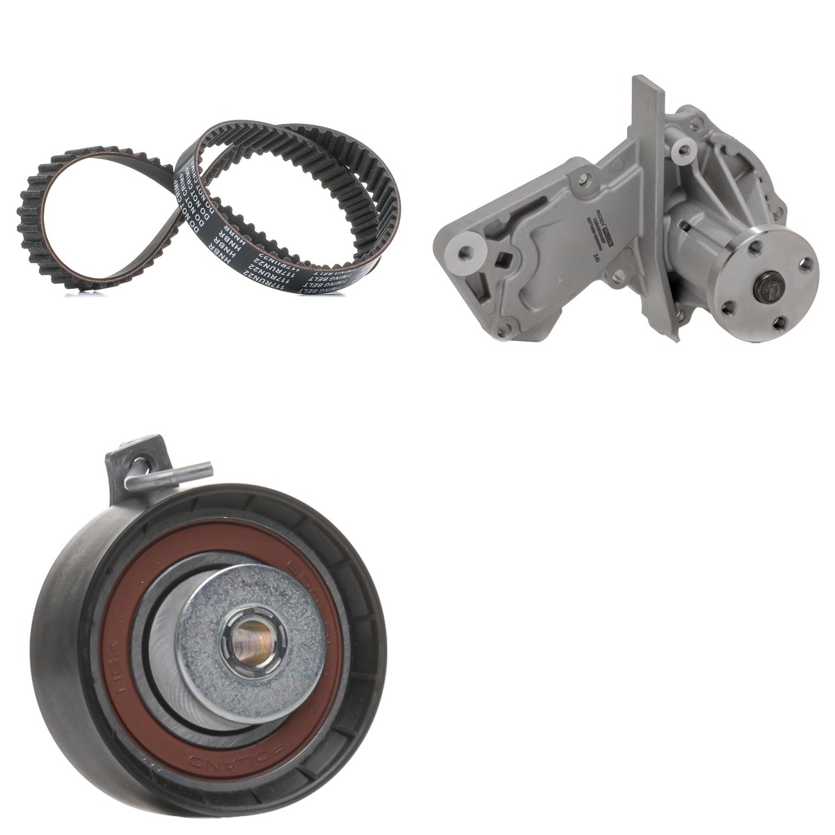 RIDEX PLUS Water pump and timing belt kit Article number: 3096W0531P cheaply