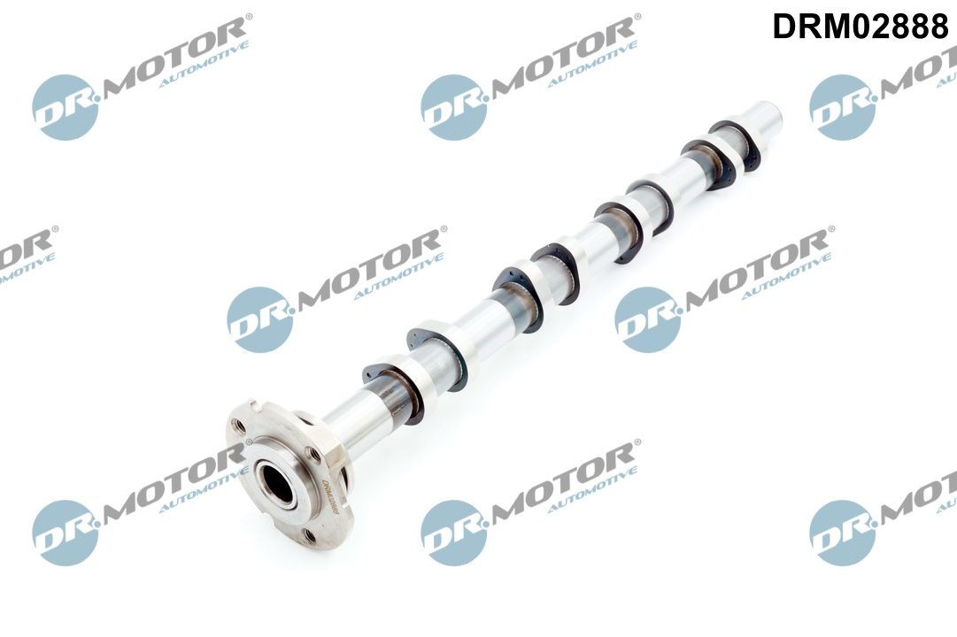 DR.MOTOR AUTOMOTIVE Nukkvõll Artikli number: DRM02888 soodsalt
