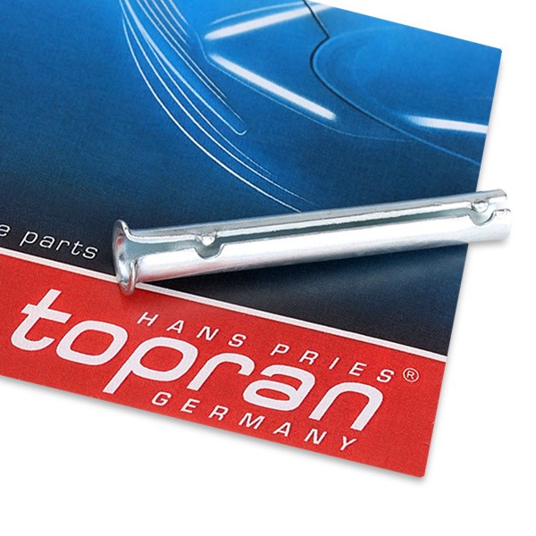 TOPRAN Door Hinge Article number: 206 055 cheaply