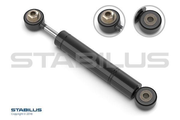 STABILUS Schwingungsdämpfer, Keilrippenriemen Artikelnummer: 1712DX günstig