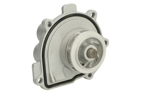THERMOTEC Water pump Article number: D1X047TT cheaply