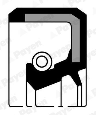 PAYEN Crankshaft seal Article number: NB774 cheaply