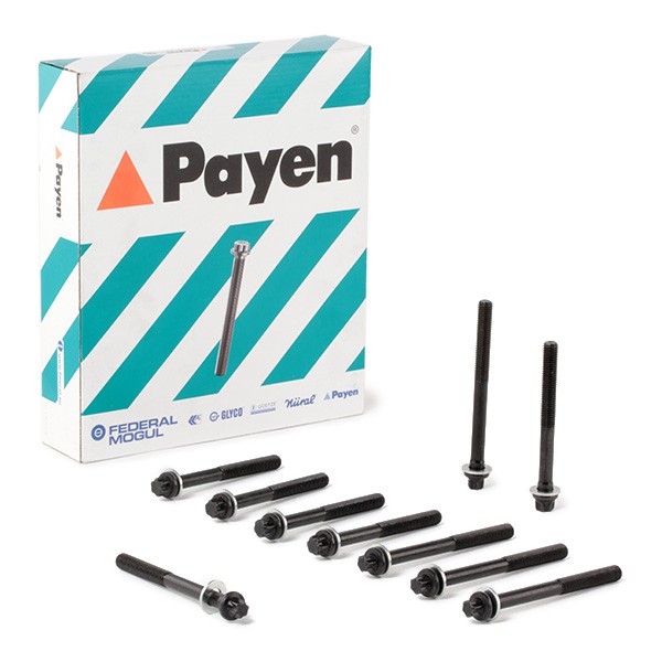 PAYEN Set surub, chiulasa număr articol: HBS102 ieftin