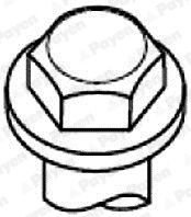 PAYEN Bolt Kit, cylinder head Article number: HBS052 cheaply