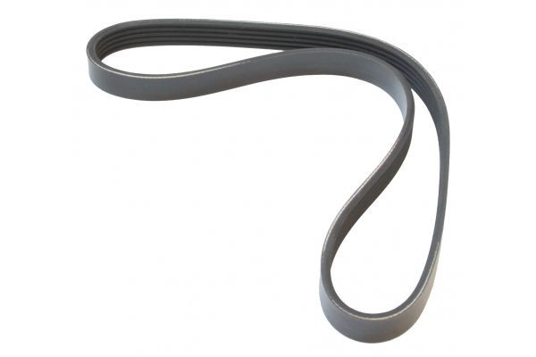 MAPCO Serpentine belt Article number: 250812 cheaply