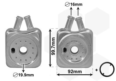 VAN WEZEL Radiatore olio motore Numero articolo: 58003215 poco costoso