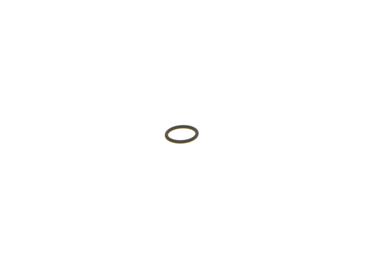 BOSCH Seal Ring, injector Article number: 1 928 300 276 cheaply
