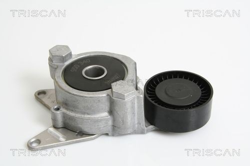 TRISCAN Spannarm, Keilrippenriemen Artikelnummer: 8641 133003 kaufen