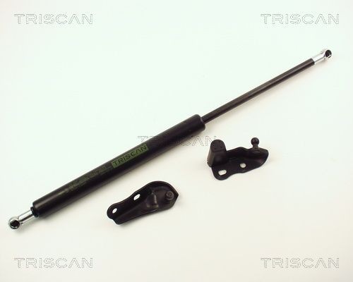 TRISCAN Dujinė spyruoklė, bagažinė prekės numeris: 8710 13264 nebrangu