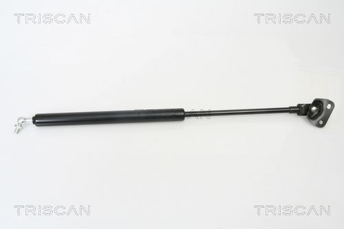 TRISCAN Kaasujousi, tavaratila tuotenumero: 8710 13272 edullisesti