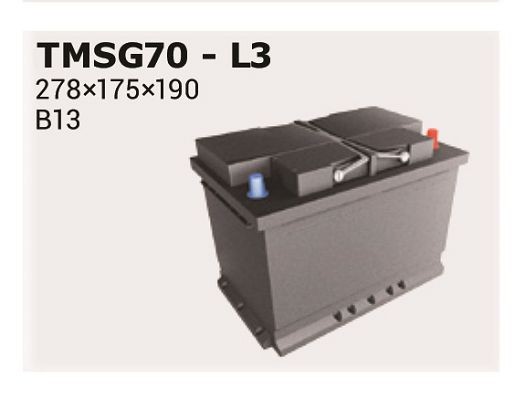 IPSA Battery Article number: TMSG70 cheaply