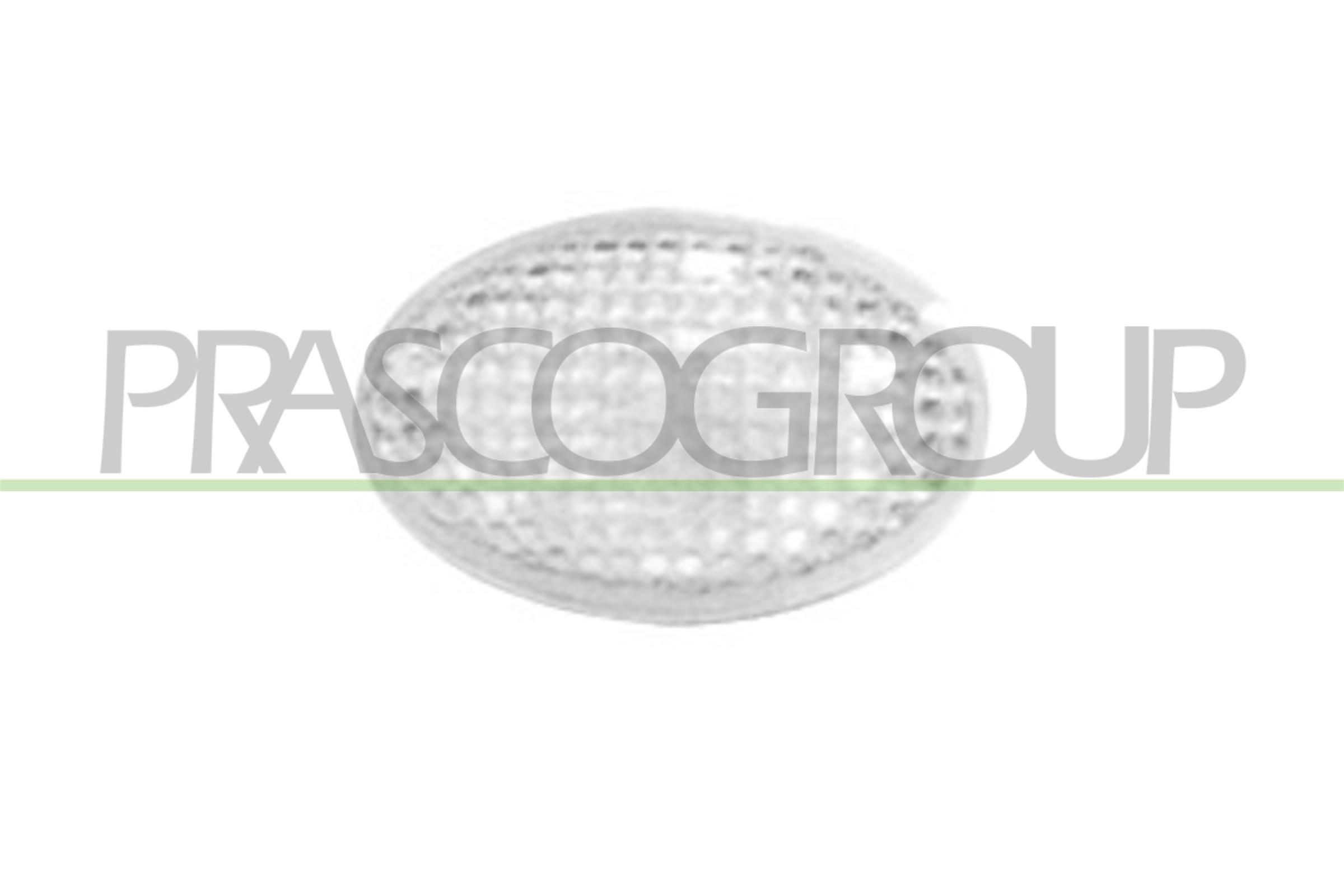 PRASCO Side indicator Article number: OP0284141 cheaply