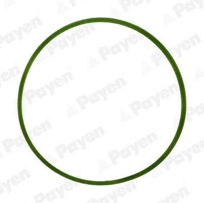 PAYEN Inlet manifold gasket Article number: JD5982 cheaply