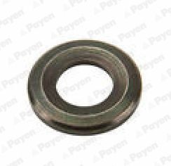 PAYEN Camshaft seal Article number: NA5053 cheaply