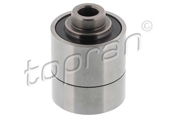 TOPRAN Lagar, ventilator racire motor număr articol: 109 619 ieftin