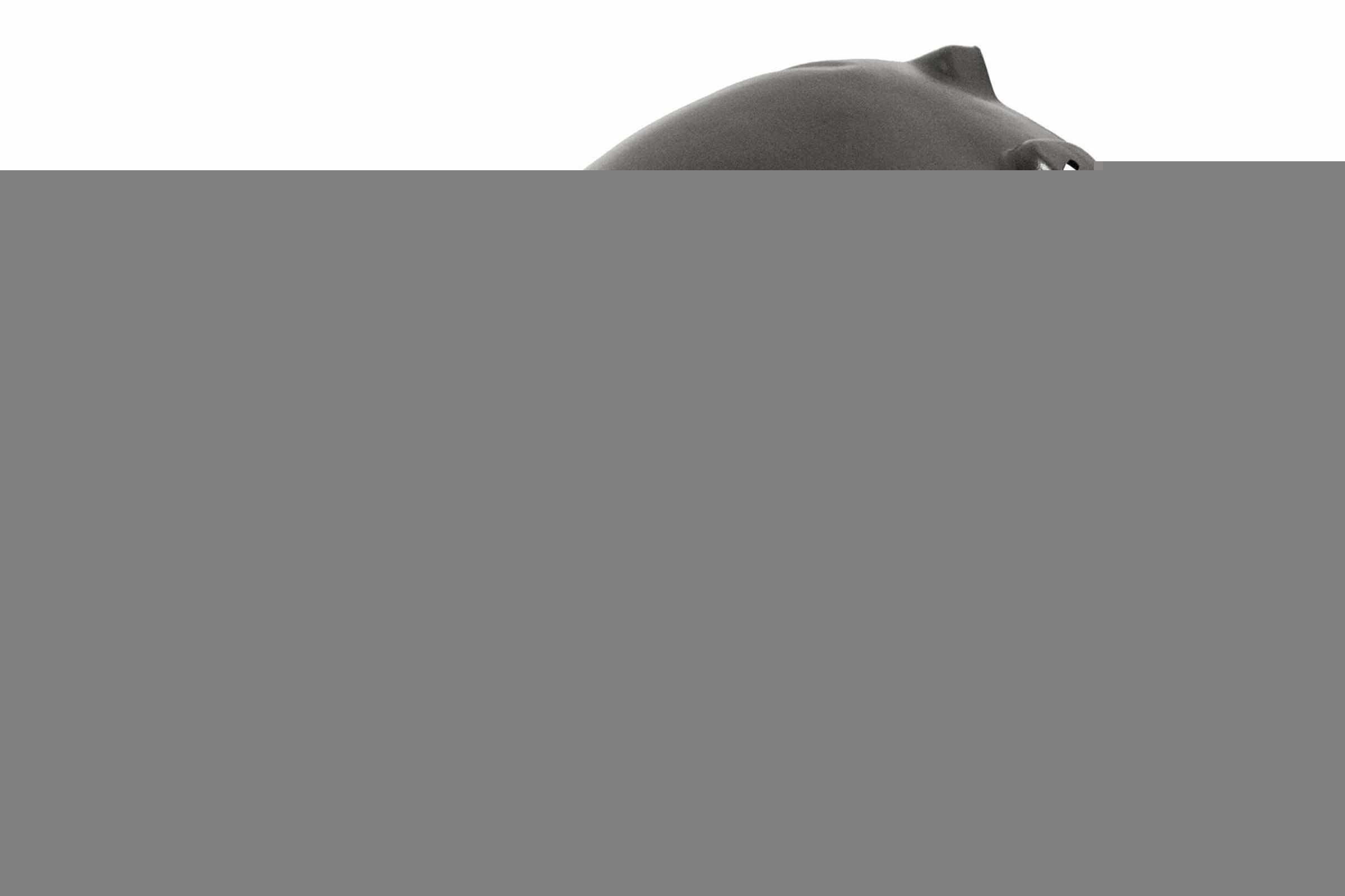 PRASCO Wheel arch liner Article number: OP4103634 cheaply