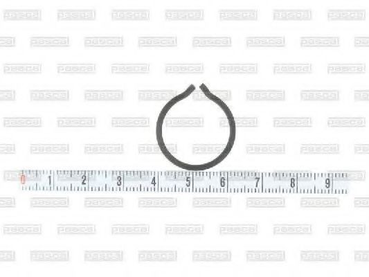 PASCAL Pressure Ring Article number: CIR G1F01PC cheaply