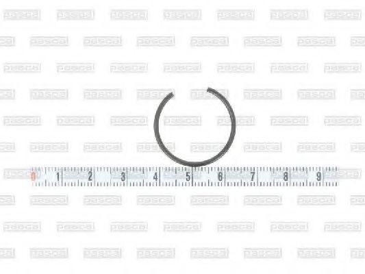 PASCAL Pressure Ring Article number: CIR G1R01PC cheaply