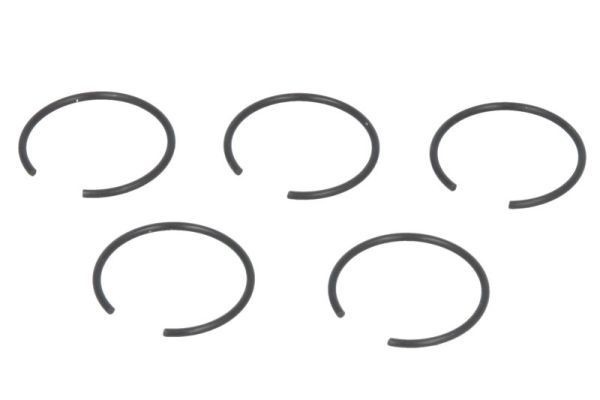 PASCAL Pressure Ring Article number: CIR G1W04PC cheaply