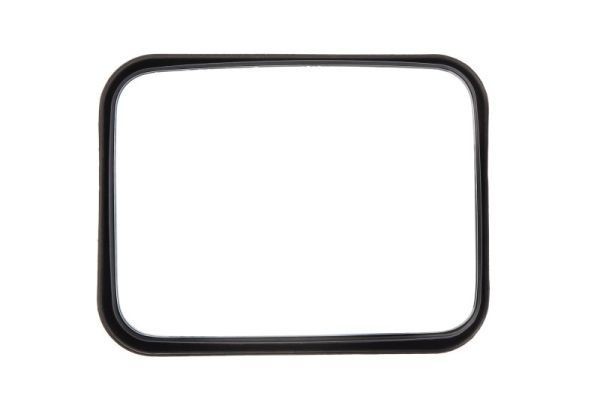 PACOL Wide-angle mirror Article number: DAF-MR-018 cheaply